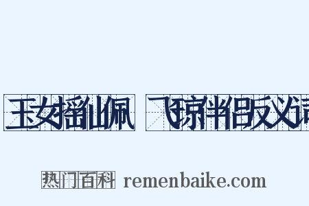 玉女摇仙佩·飞琼伴侣反义词是什么意思的图片